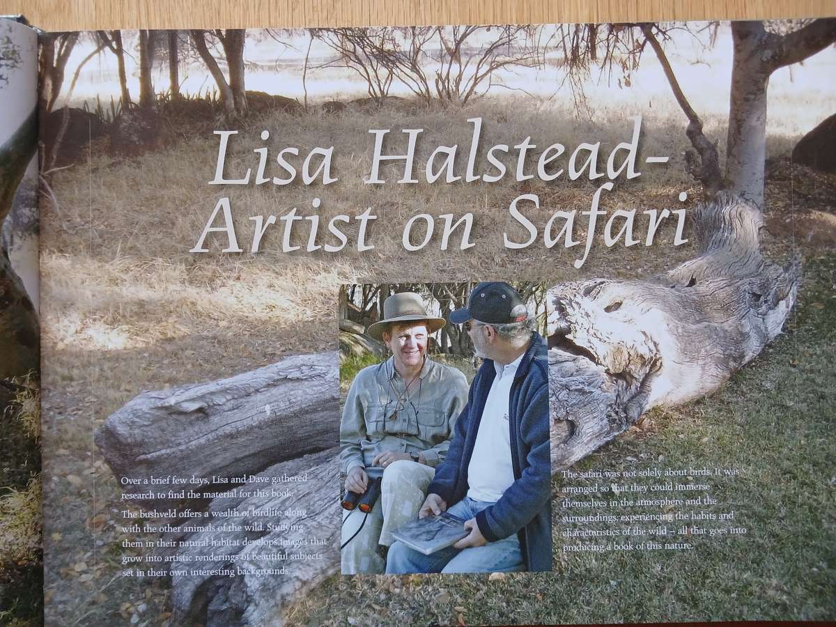 Lisa Halstead Wildlife Artist -  " Heavens of Africa"