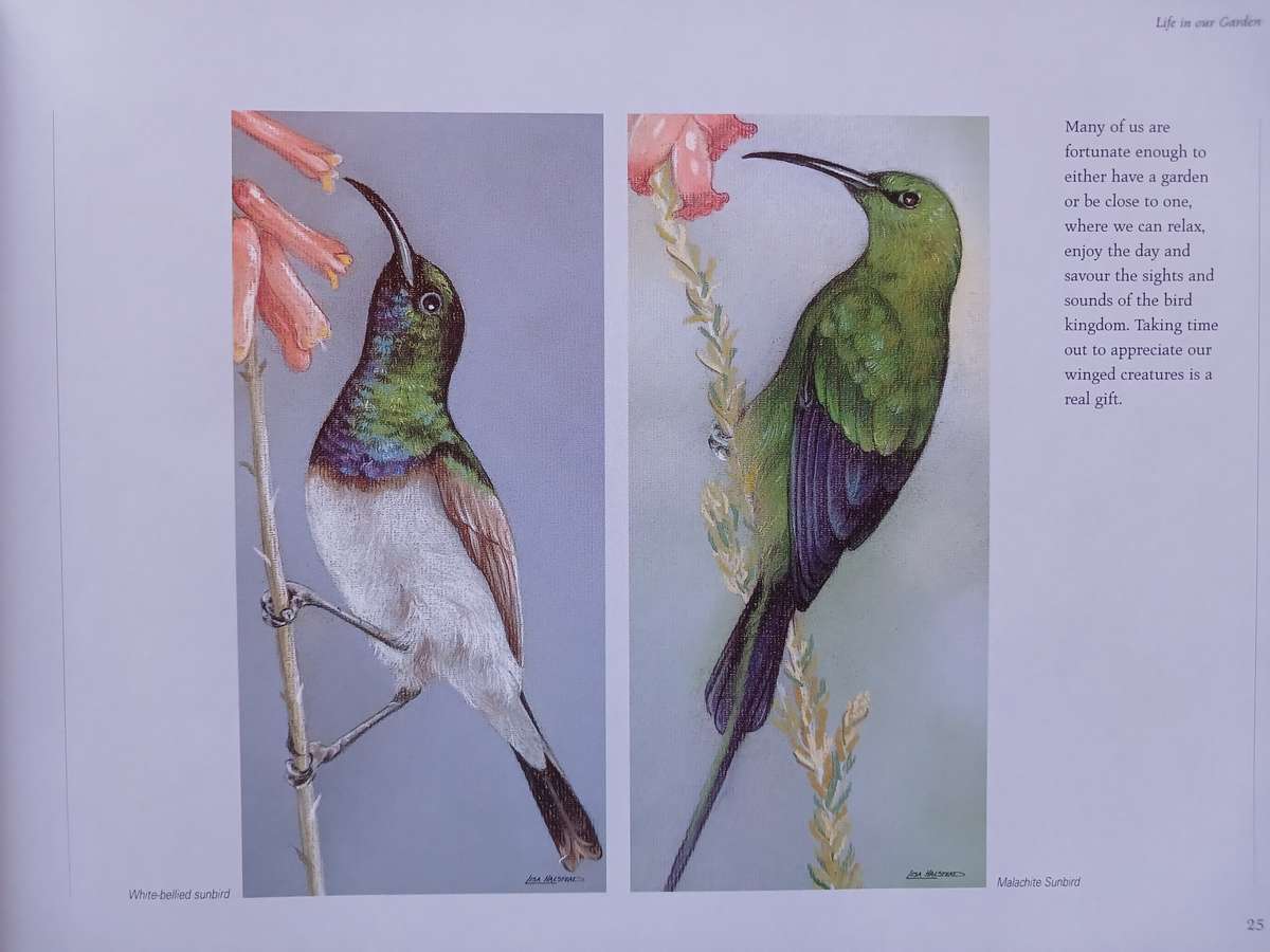 Lisa Halstead Wildlife Artist -  " Heavens of Africa"