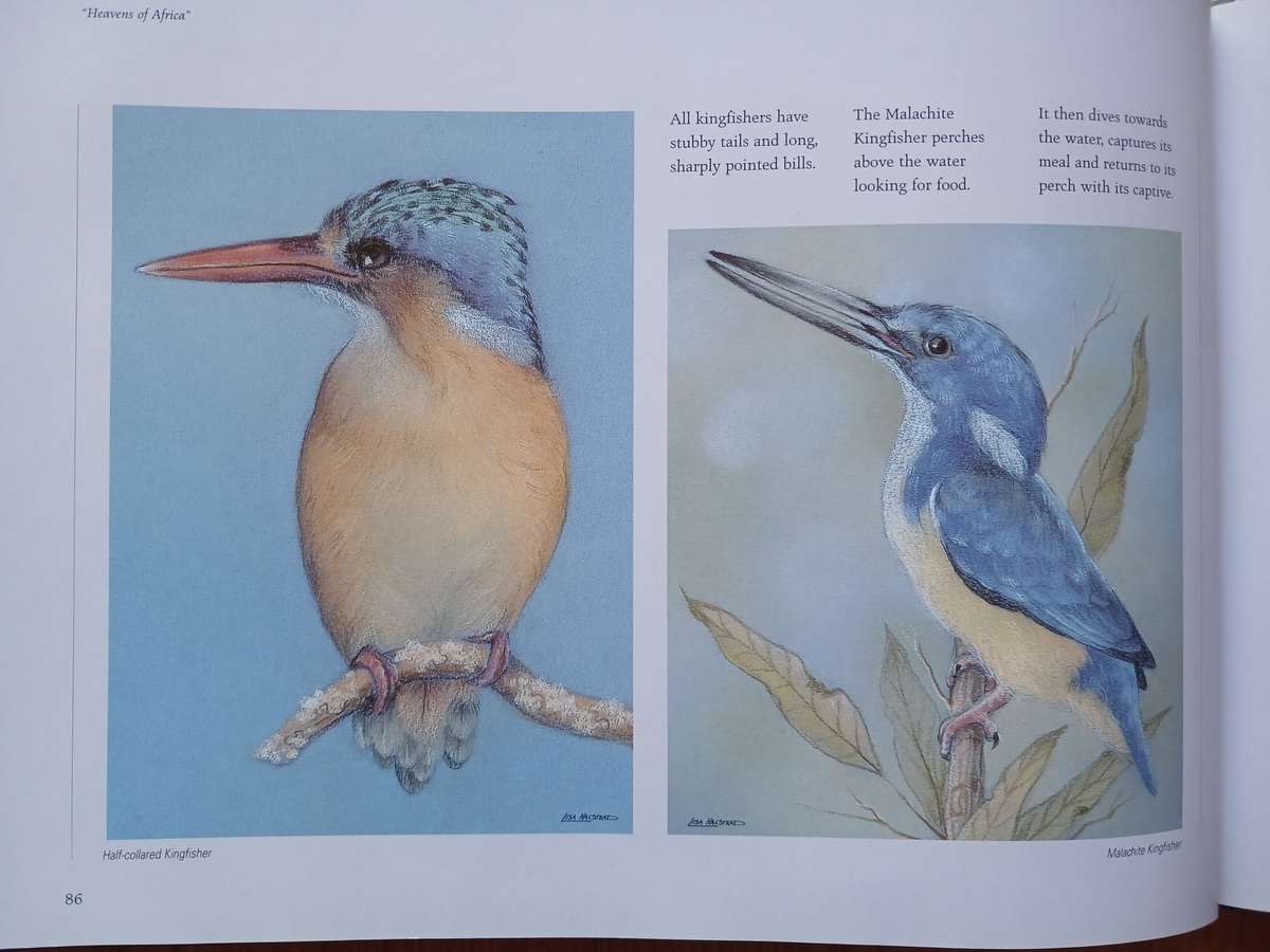 Lisa Halstead Wildlife Artist -  " Heavens of Africa"