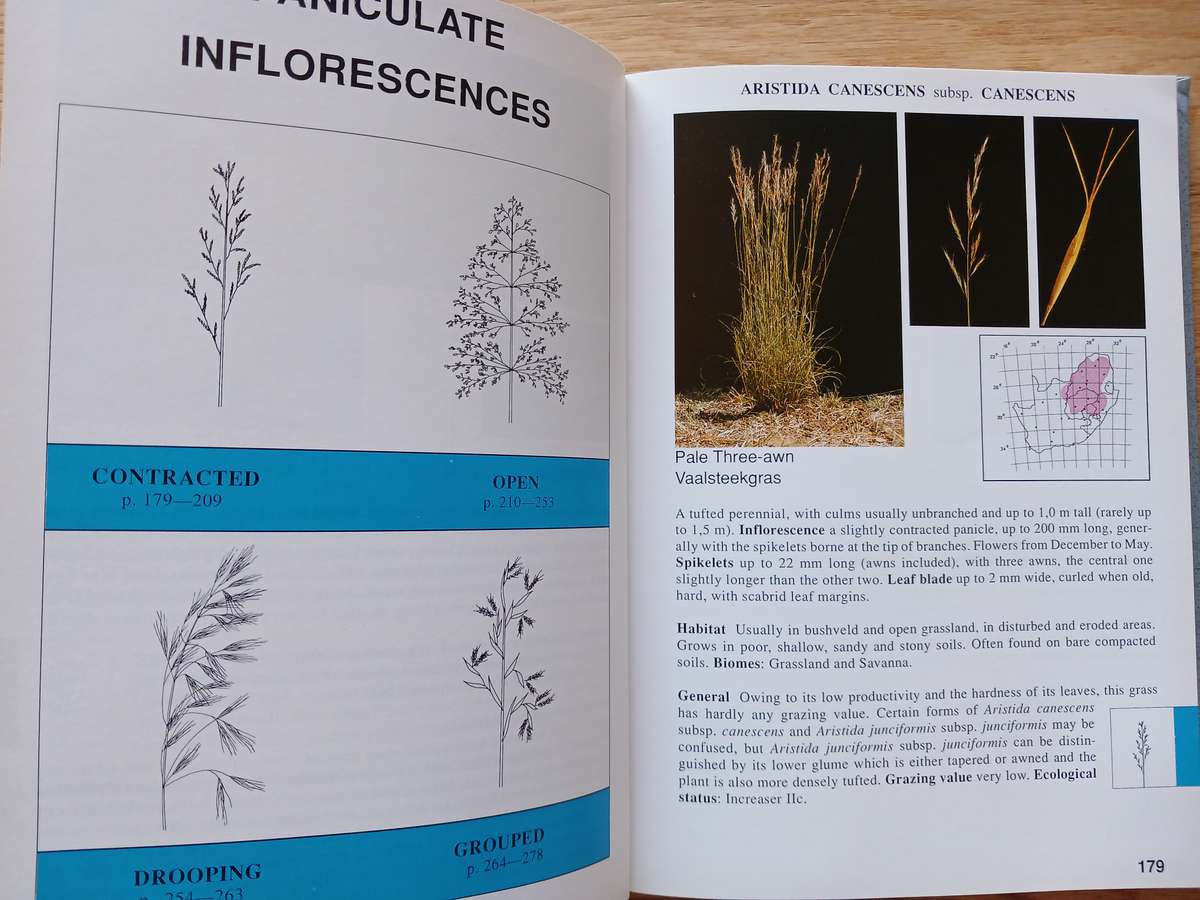 Grasses of South Africa