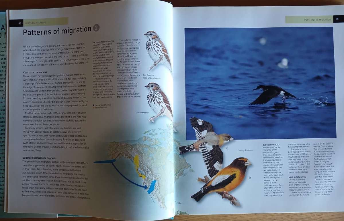The Atlas of Bird Migration - Tracing the great journey's of the World's Birds
