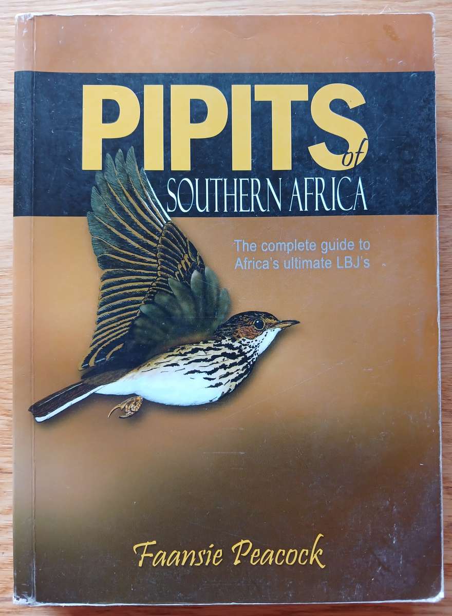 Pipits of Southern Africa - The complete guide to Africa's ultimate LBJ's