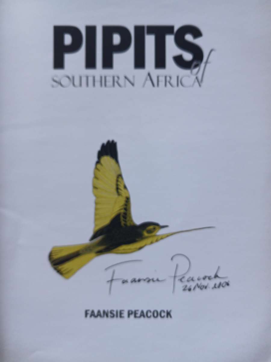 Pipits of Southern Africa - The complete guide to Africa's ultimate LBJ's