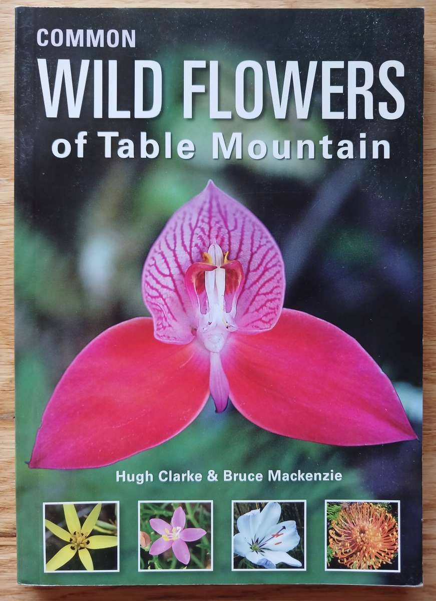 Common Wild Flowers of Table Mountain