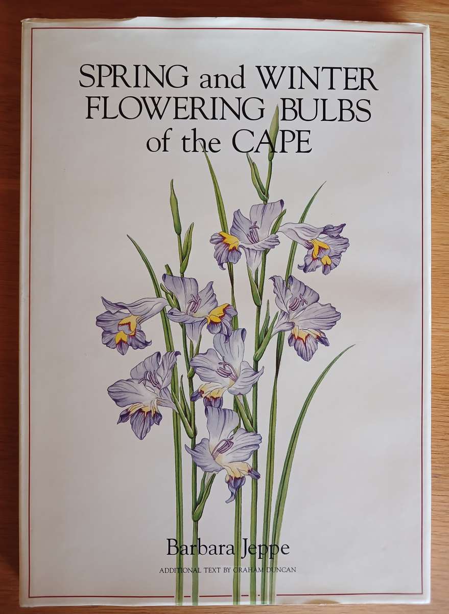 Spring and Winter Flowering Bulbs of the Cape