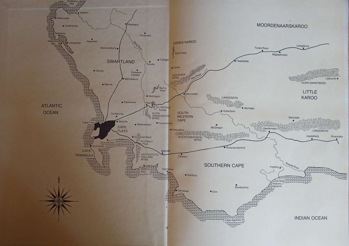 Spring and Winter Flowering Bulbs of the Cape