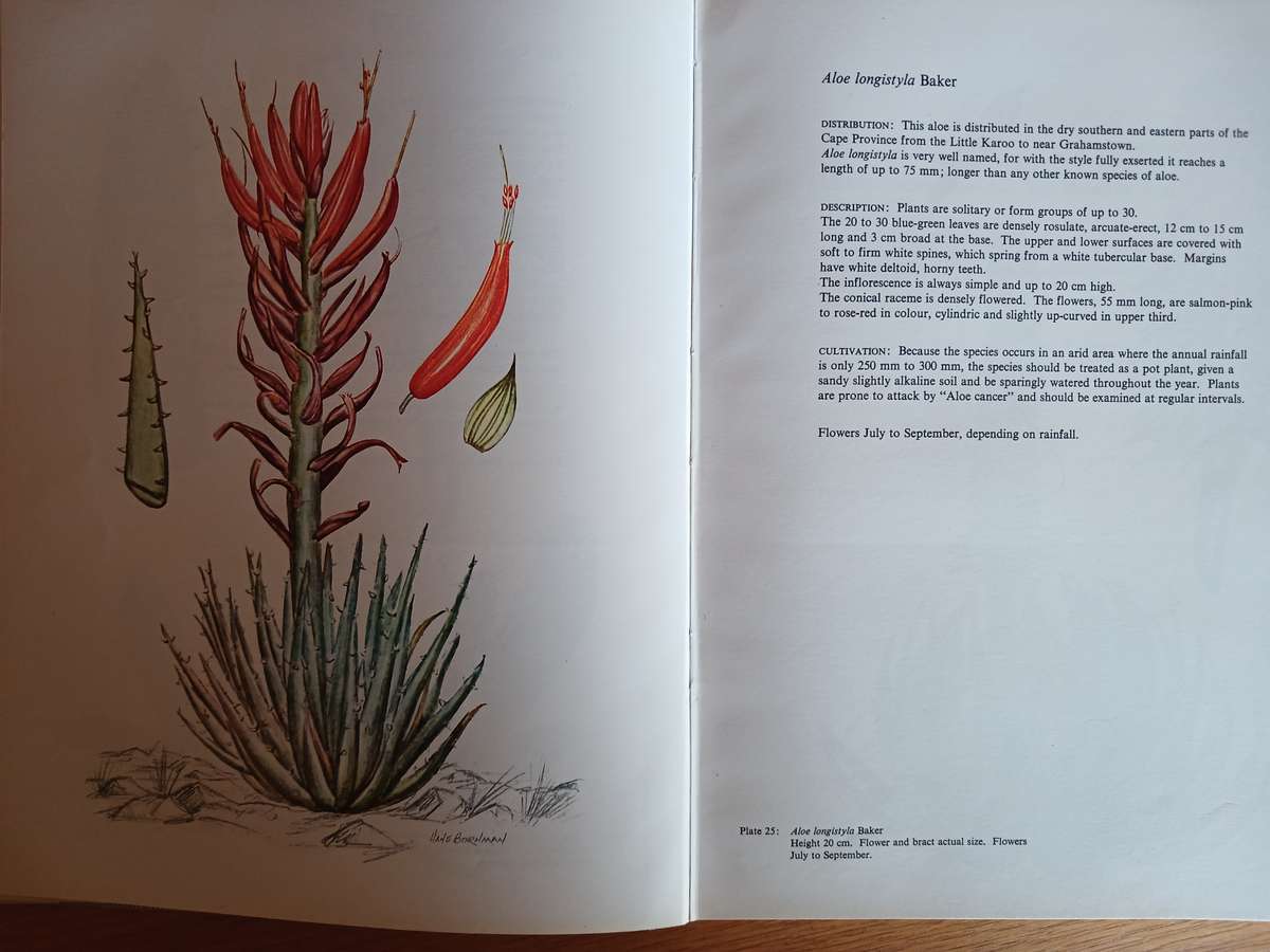 Aloes of the South African Veld