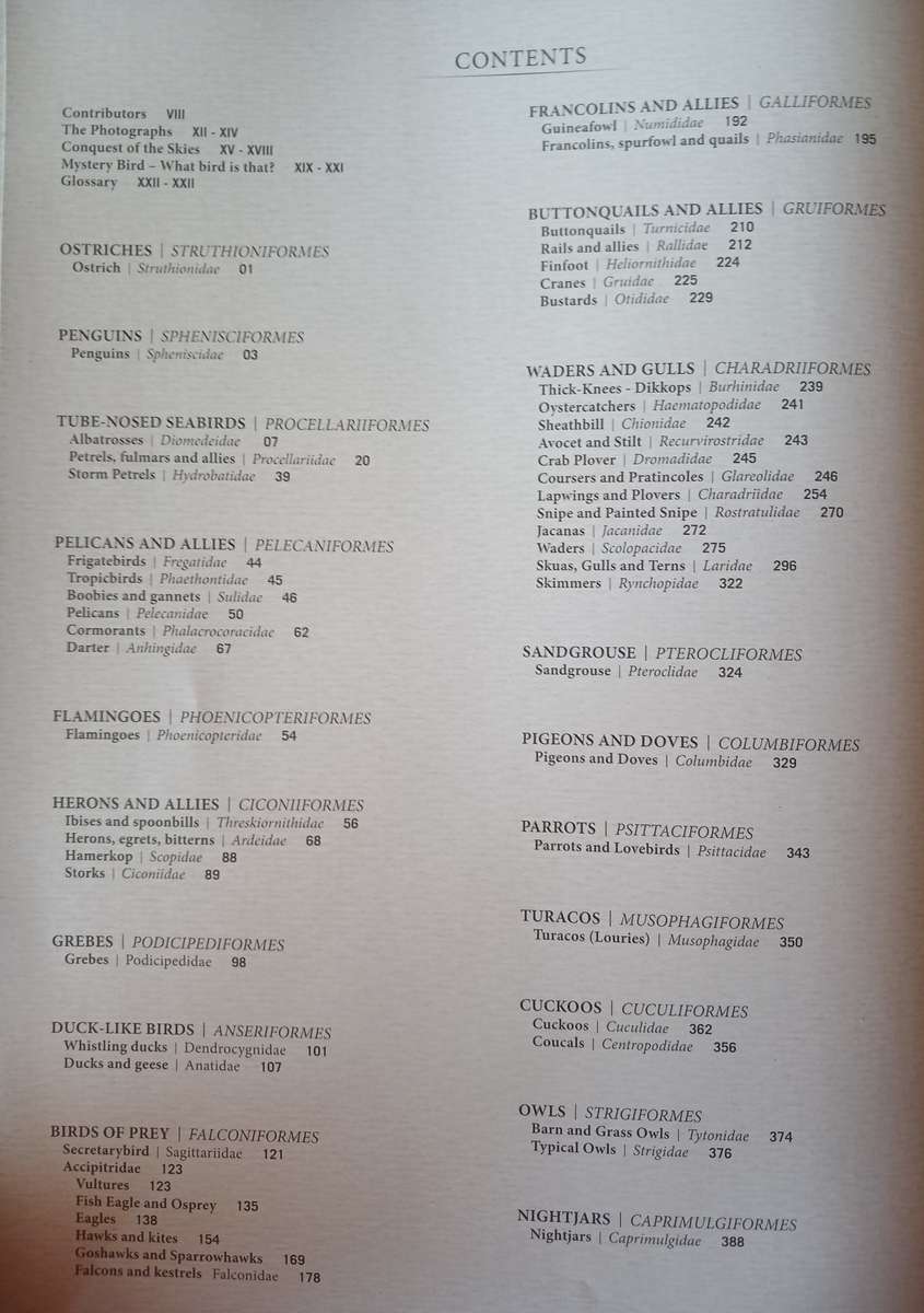 The Ultimate Companion for Birding in Southern Africa