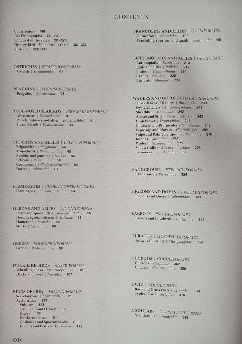 The Ultimate Companion for Birding in Southern Africa