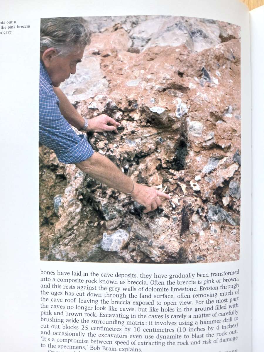 The Making of Mankind