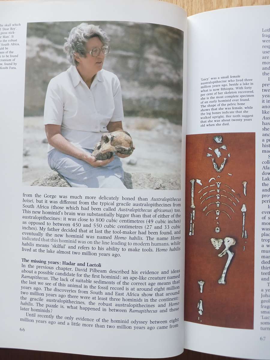 The Making of Mankind