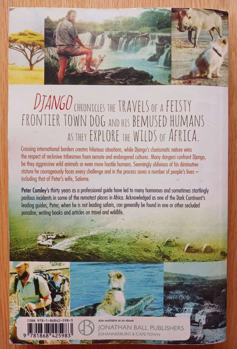 Django - The small dog with the big heart