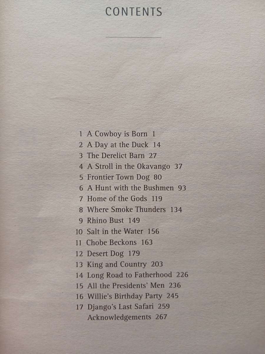 Django - The small dog with the big heart