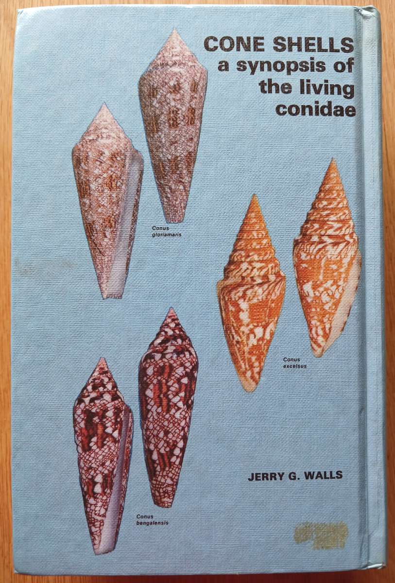 Cone Shells - A synopsis of the living Conidae