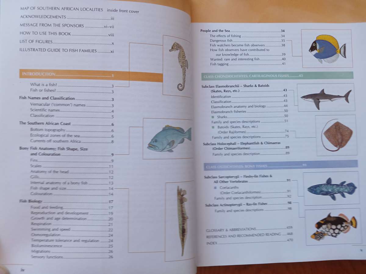 Coastal Fishes of Southern Africa