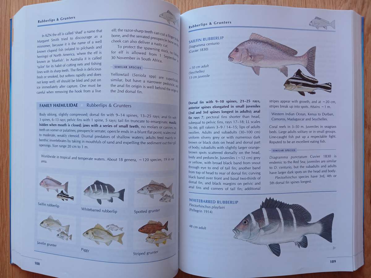 Coastal Fishes of Southern Africa