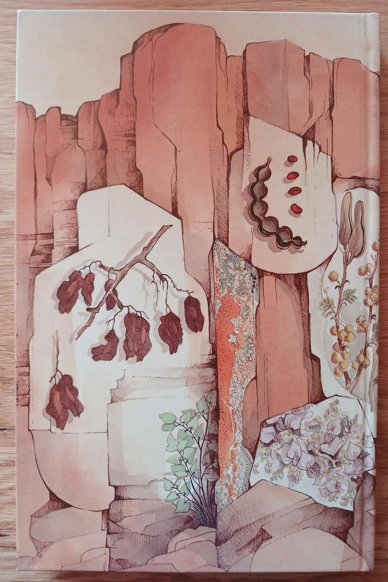 Waterberg Flora - Footpaths in and around the camp