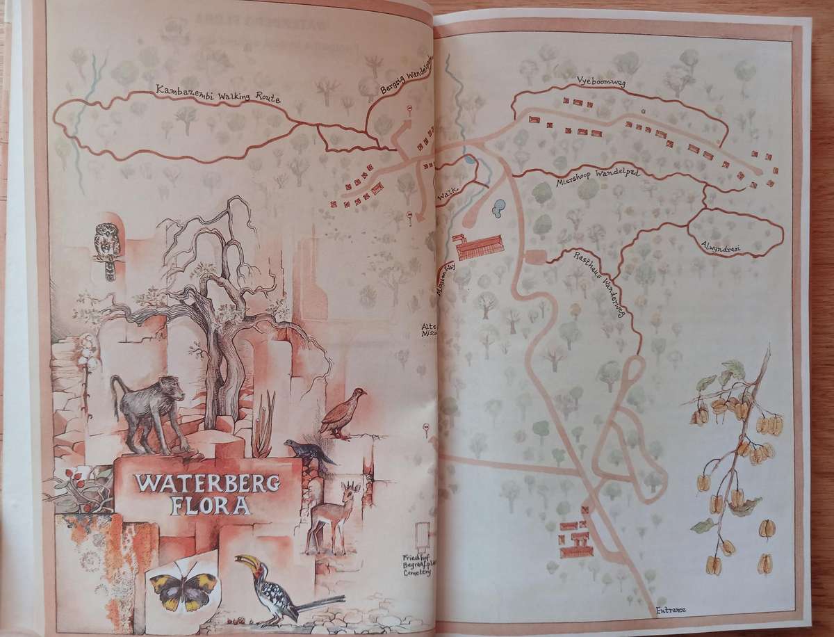 Waterberg Flora - Footpaths in and around the camp