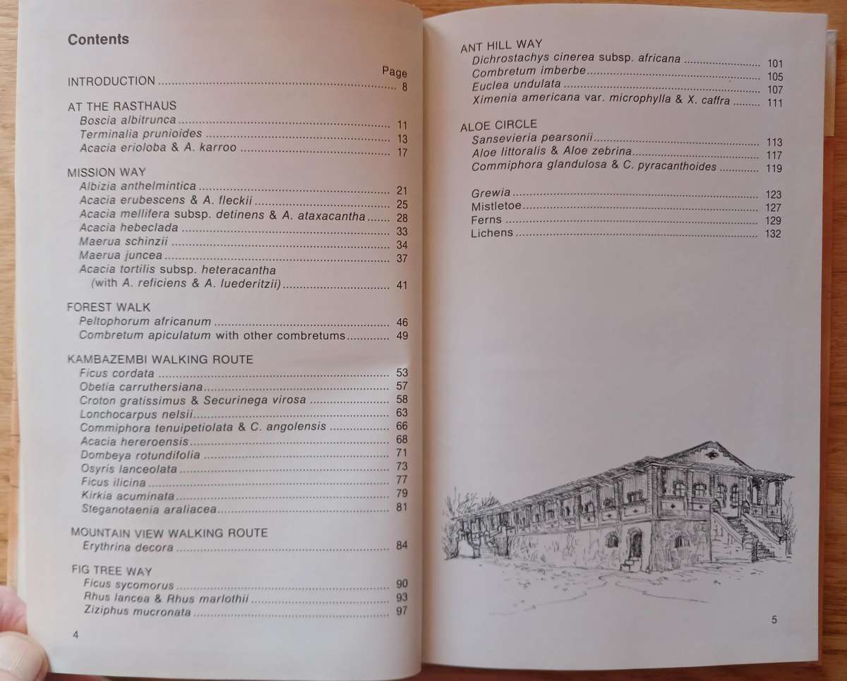 Waterberg Flora - Footpaths in and around the camp