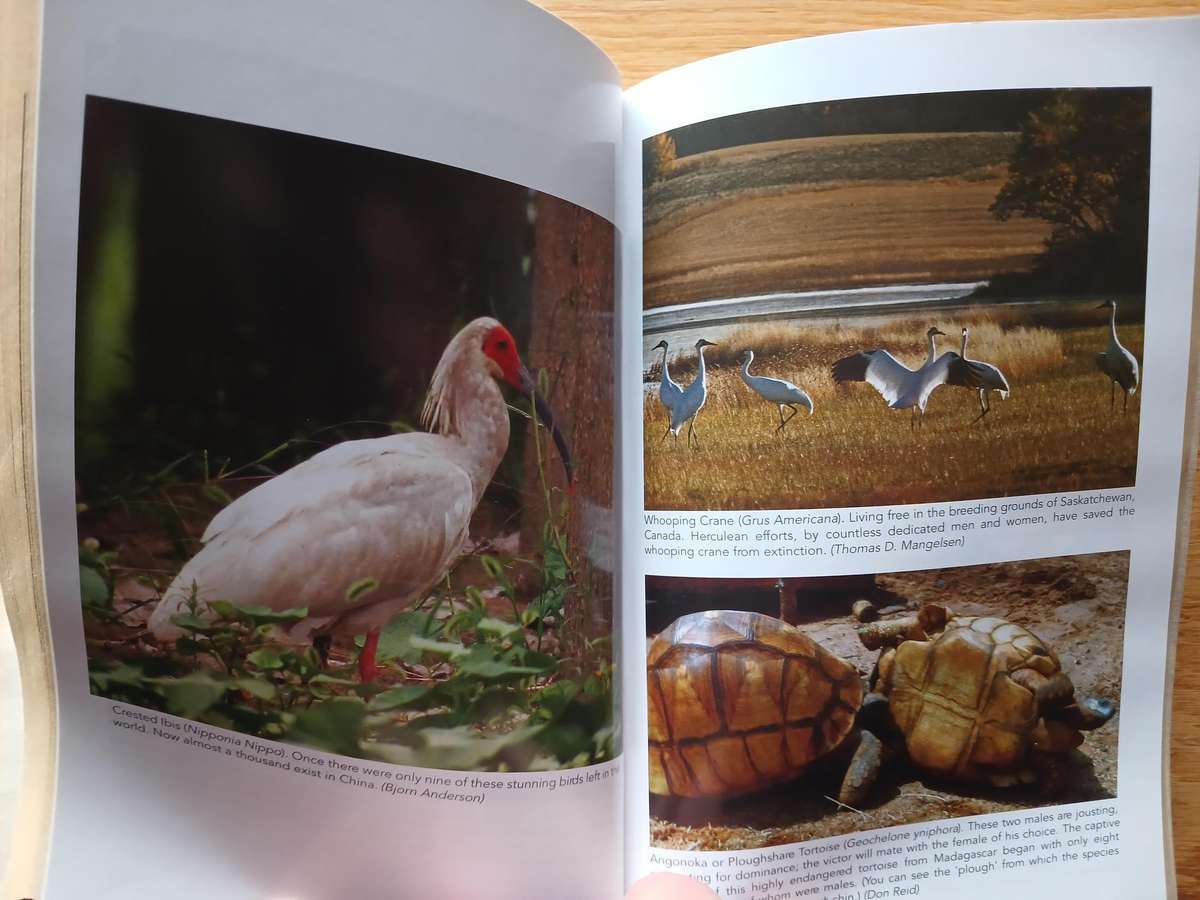 Hope for Animal and Their World by Jane Goodhall