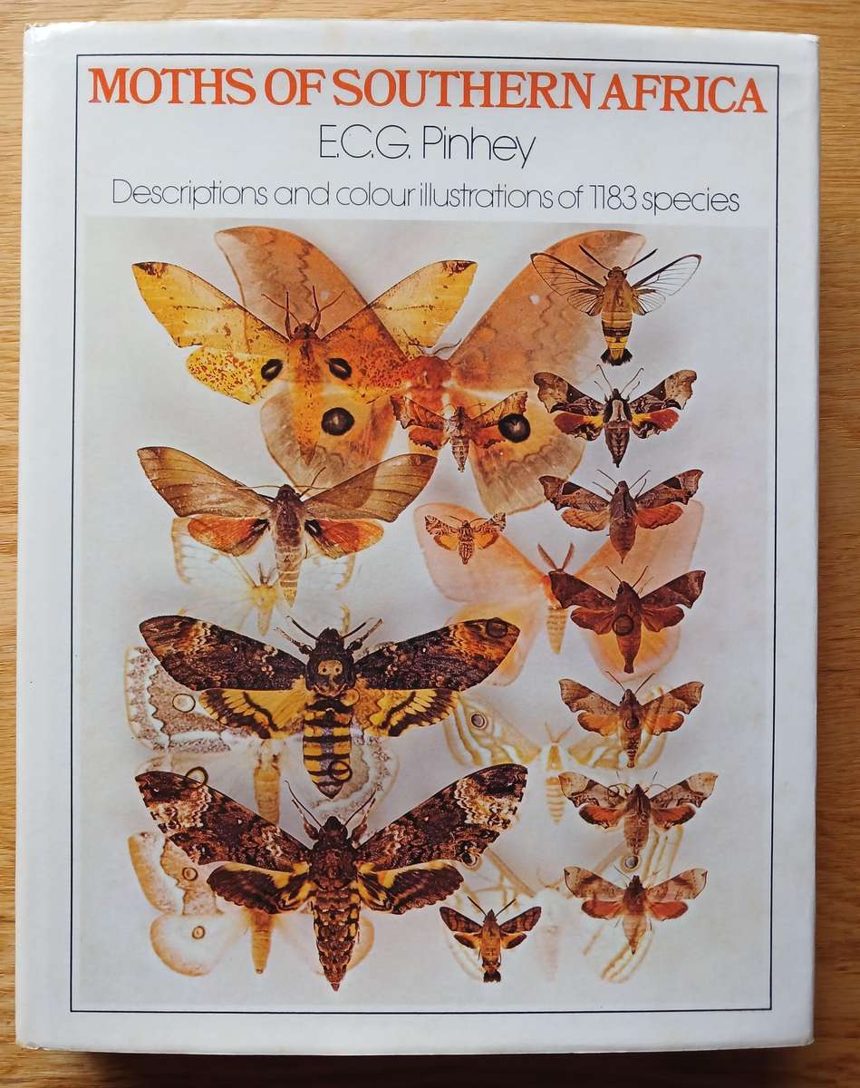 Moths of Southern Africa by E.C.G. Pinhey