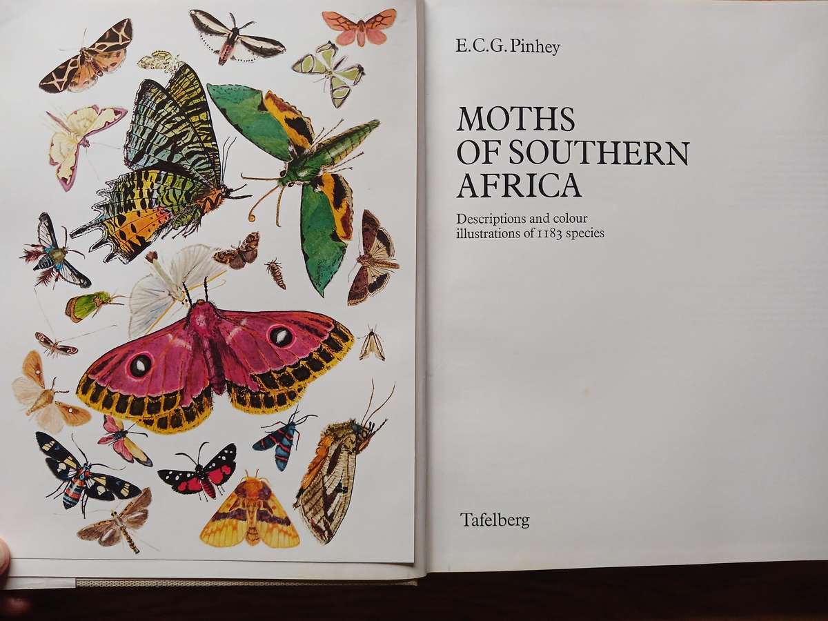 Moths of Southern Africa by E.C.G. Pinhey