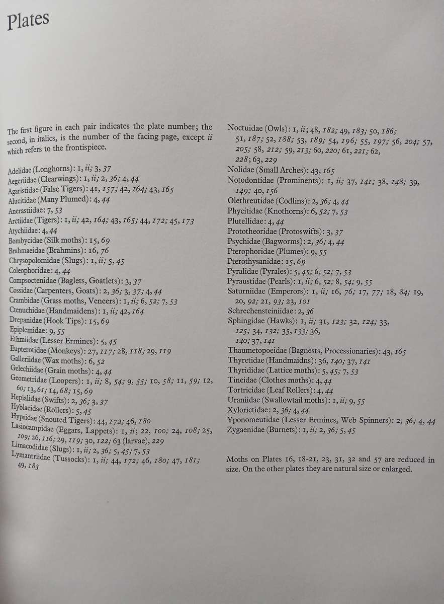 Moths of Southern Africa by E.C.G. Pinhey