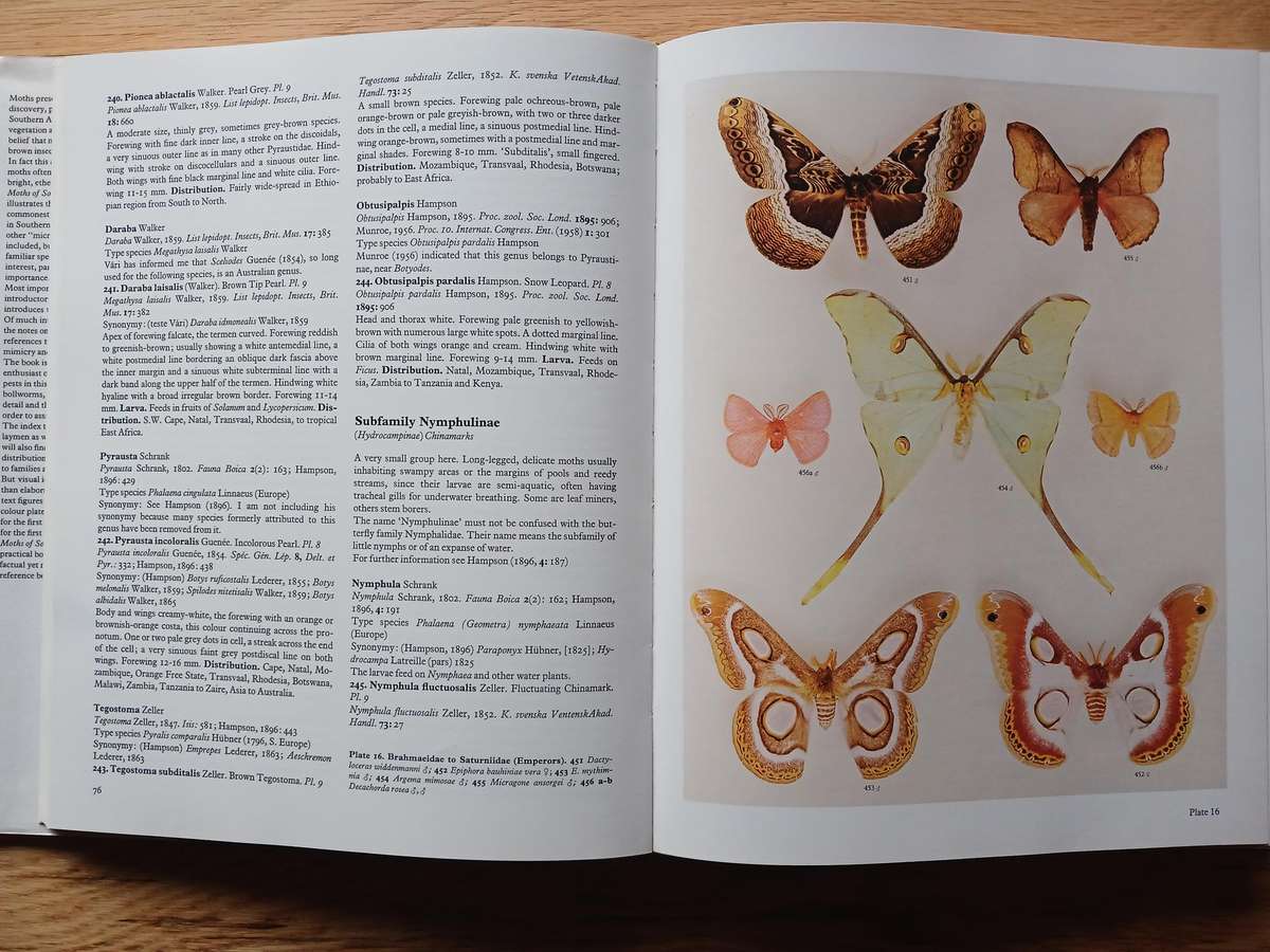 Moths of Southern Africa by E.C.G. Pinhey