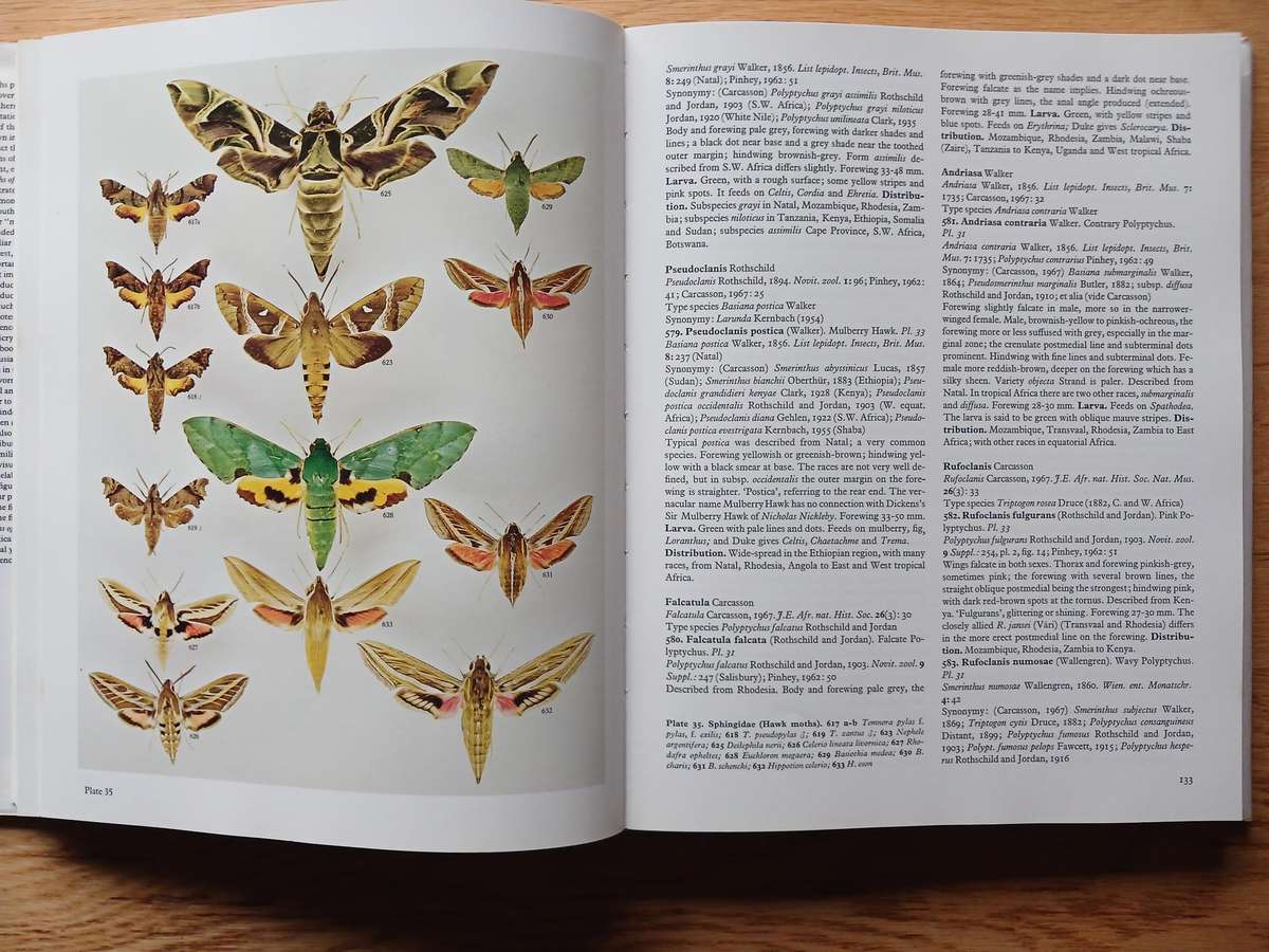 Moths of Southern Africa by E.C.G. Pinhey