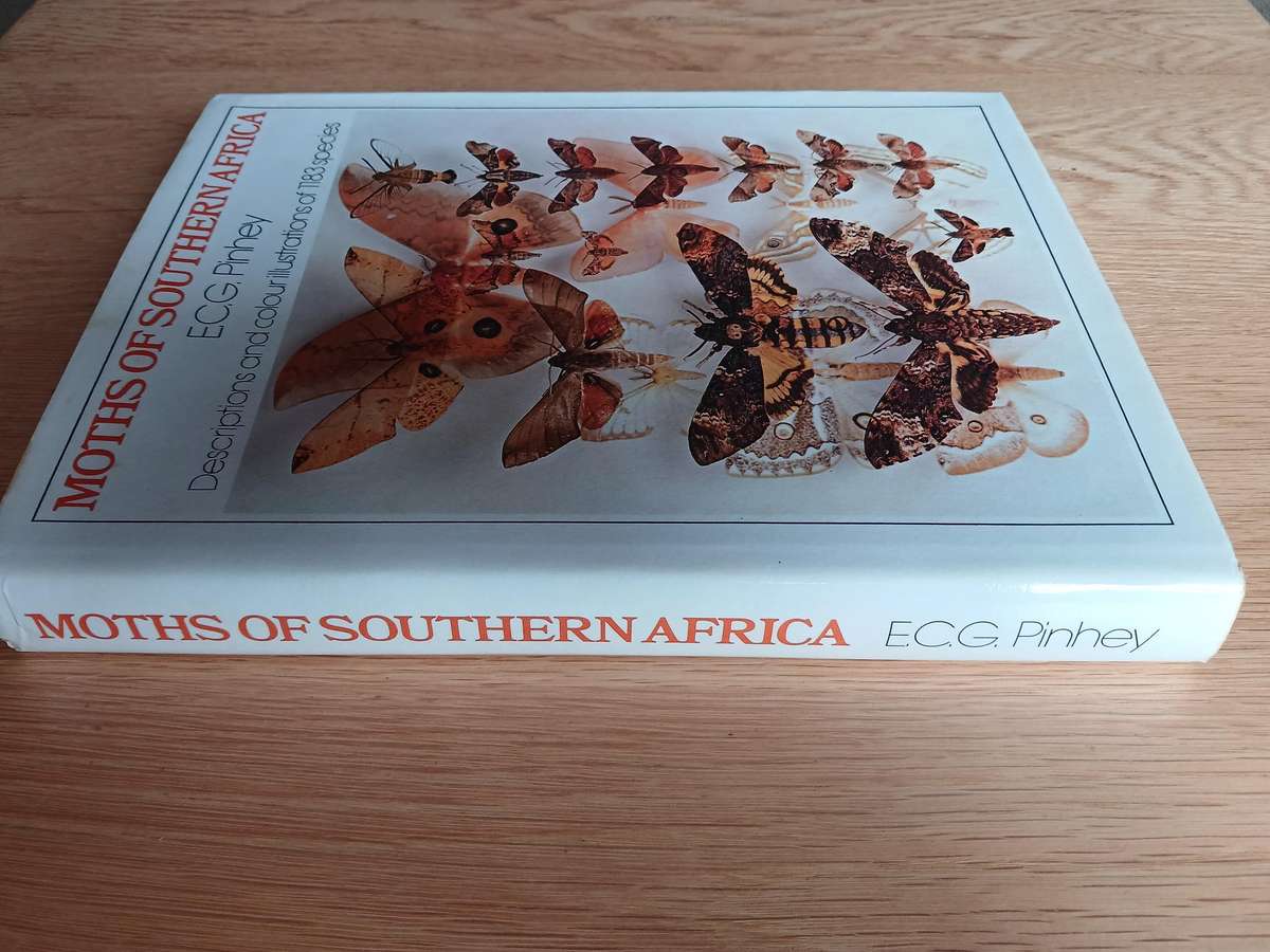 Moths of Southern Africa by E.C.G. Pinhey