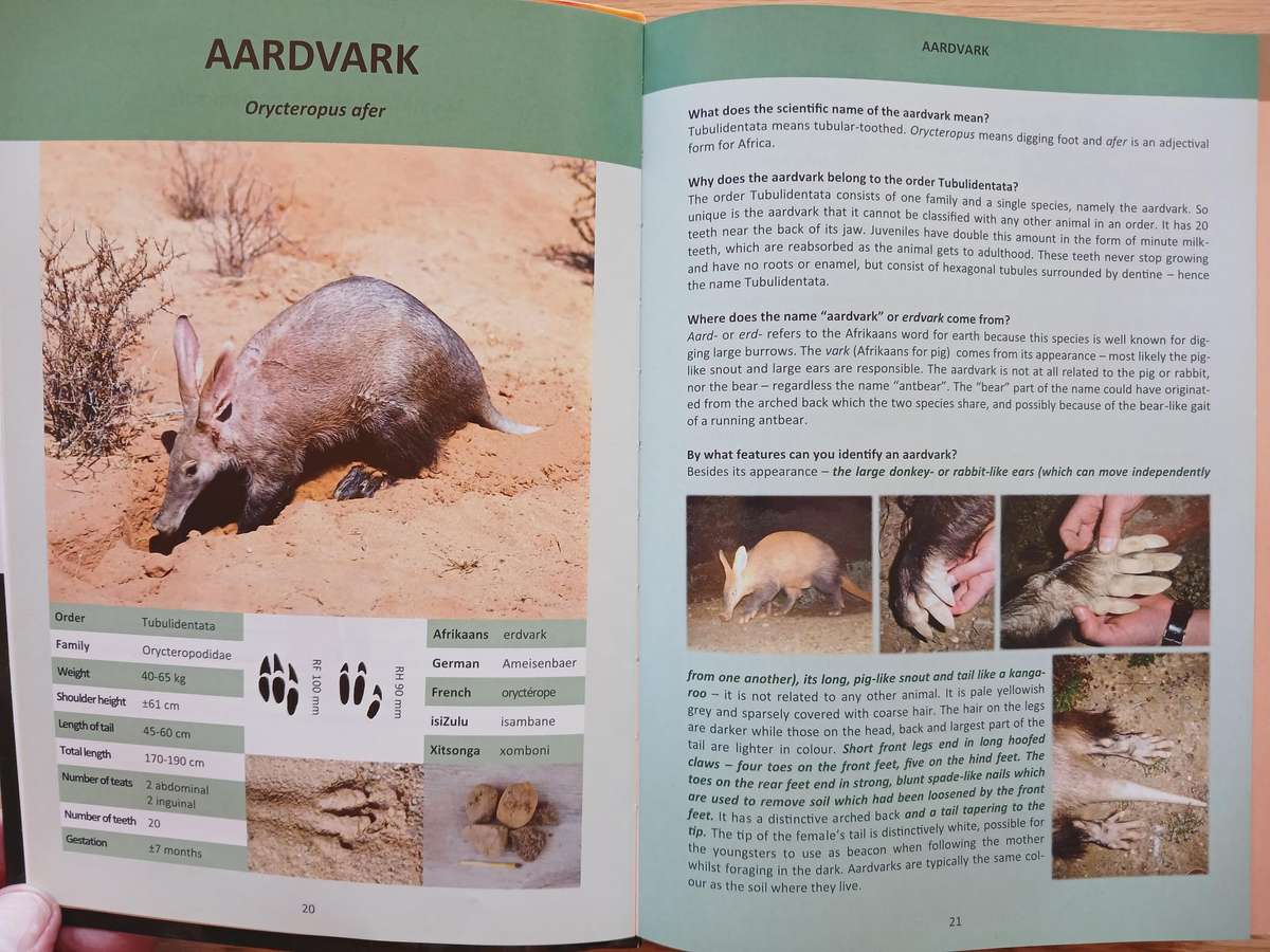 Aardvark to Zebra  - Questions and Answers