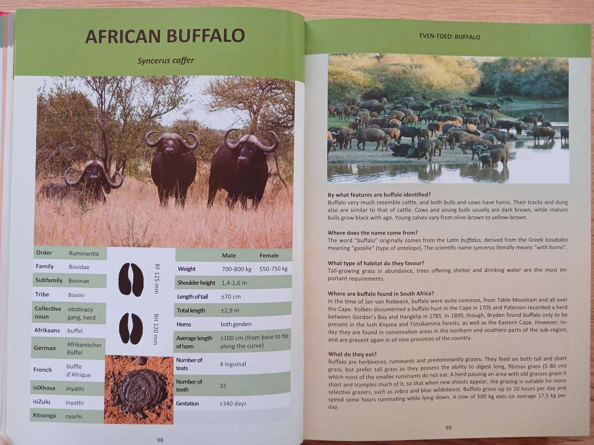 Aardvark to Zebra  - Questions and Answers