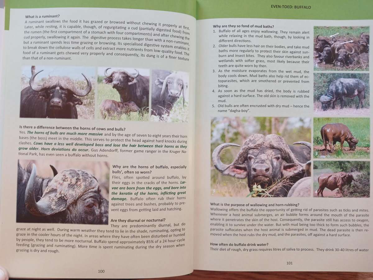 Aardvark to Zebra  - Questions and Answers