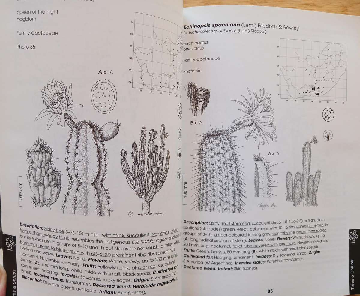 Alien Weeds and Invasive Plants - A complete guide to declared weeds and invaders in South Africa