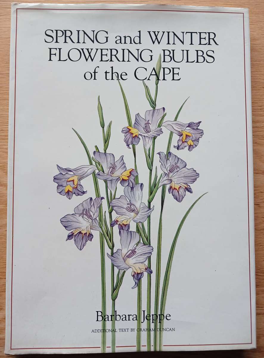 Spring and Winter Flowering Bulbs of the Cape