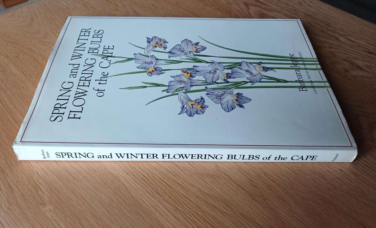 Spring and Winter Flowering Bulbs of the Cape