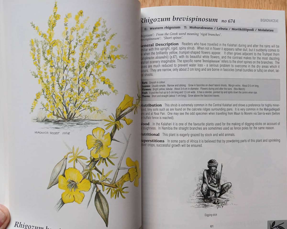 The Shell Field Guide Series: Part I - Trees & Shrubs of the Okavango Delta - Medicinal uses ...