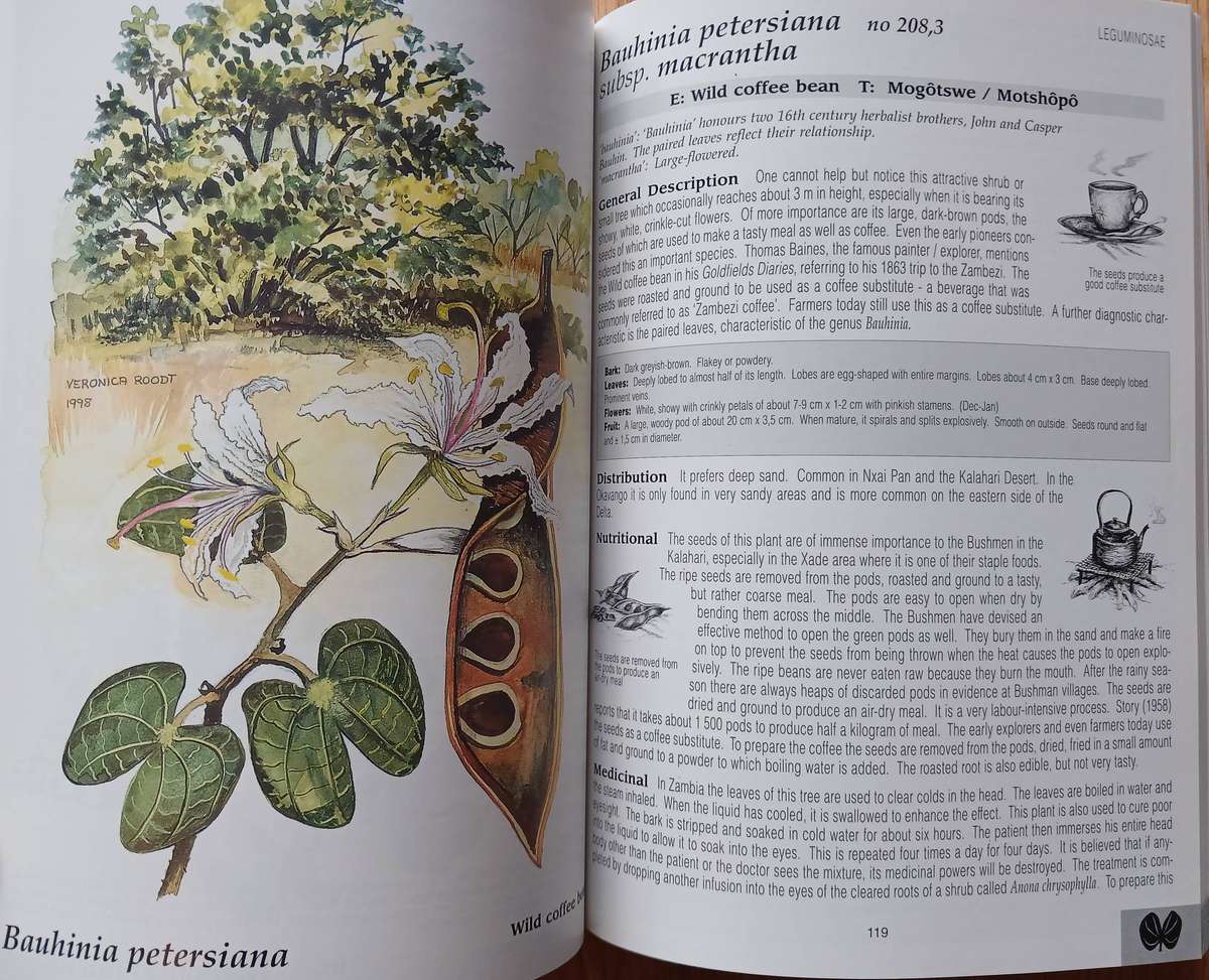 The Shell Field Guide Series: Part I - Trees & Shrubs of the Okavango Delta - Medicinal uses ...