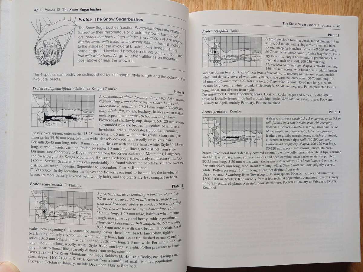 Proteas - A field guide to the Proteas of Southern Africa