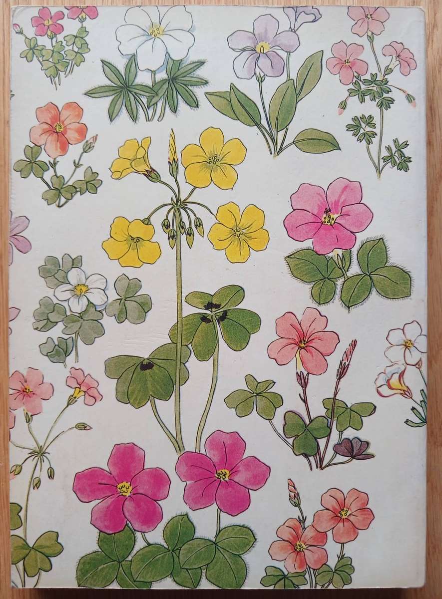 Cape Peninsula - South African Wild Flower Guide 3