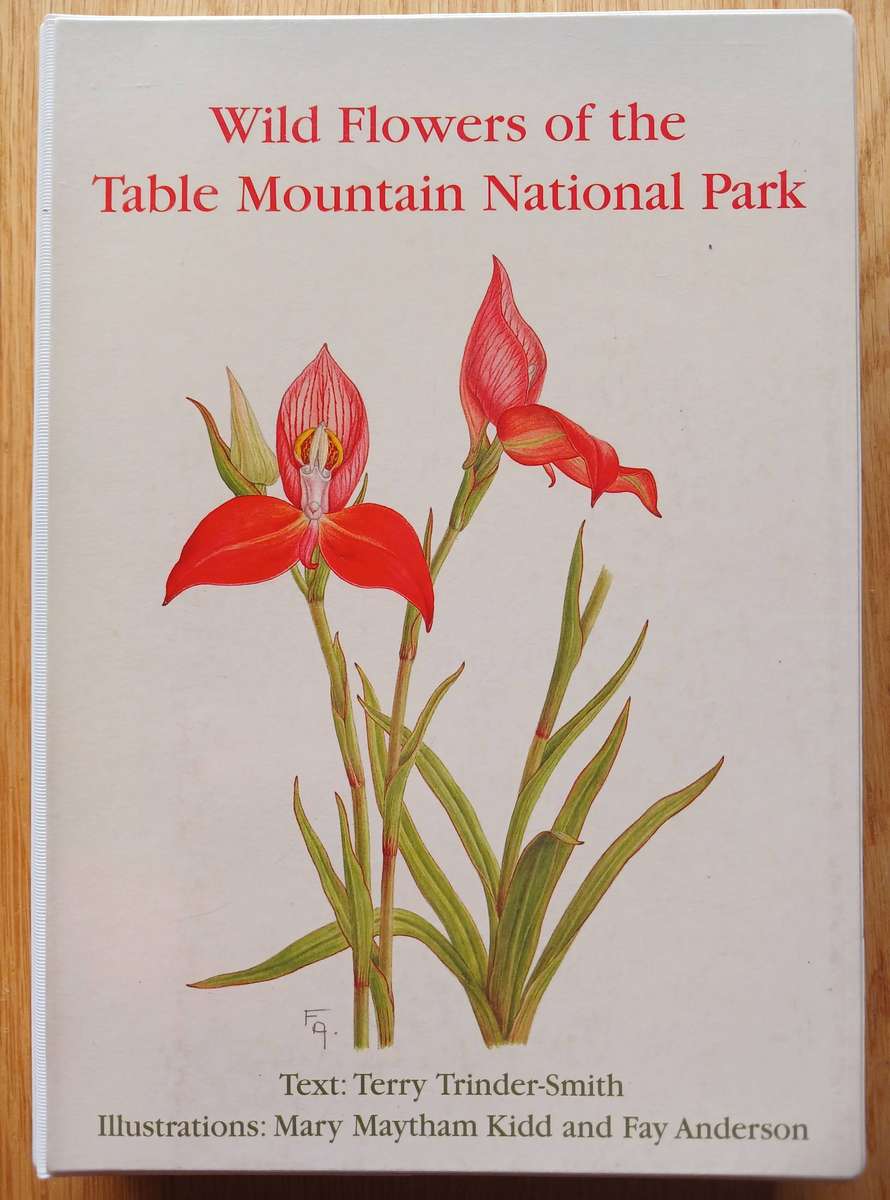 Wild Flowers of the Table Mountain National Park