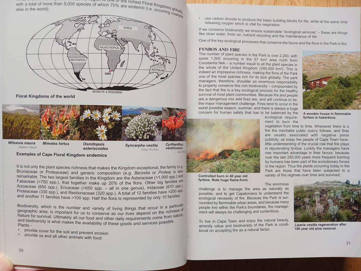 Wild Flowers of the Table Mountain National Park