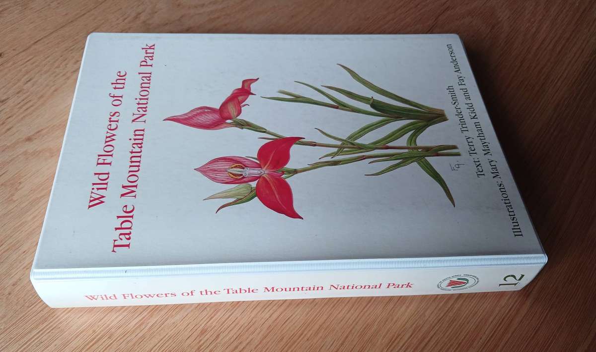 Wild Flowers of the Table Mountain National Park