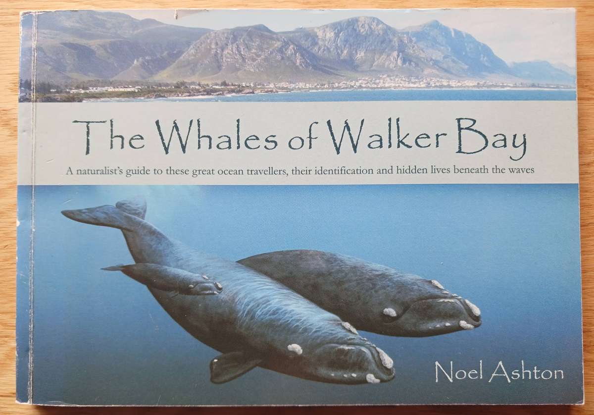 The Whales of Walker Bay