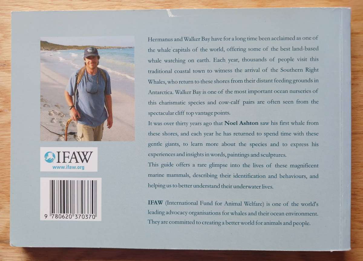 The Whales of Walker Bay