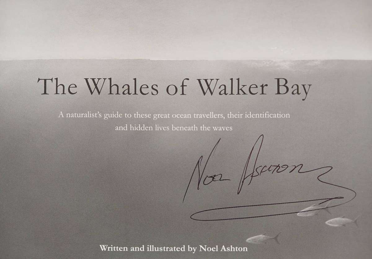 The Whales of Walker Bay