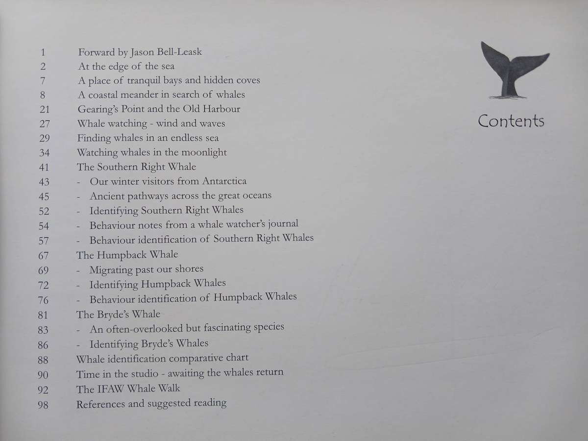 The Whales of Walker Bay