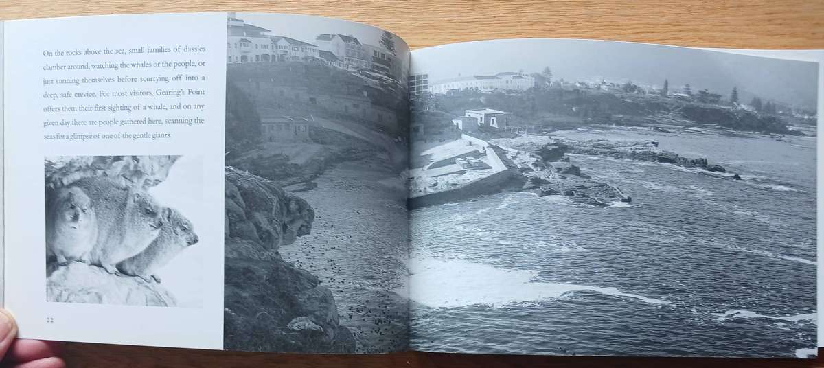 The Whales of Walker Bay