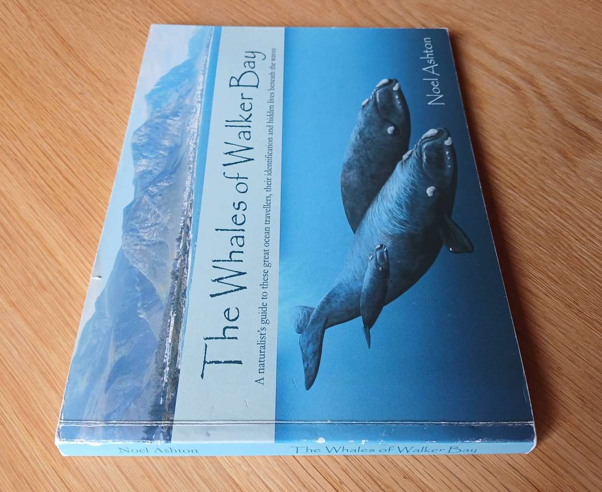 The Whales of Walker Bay