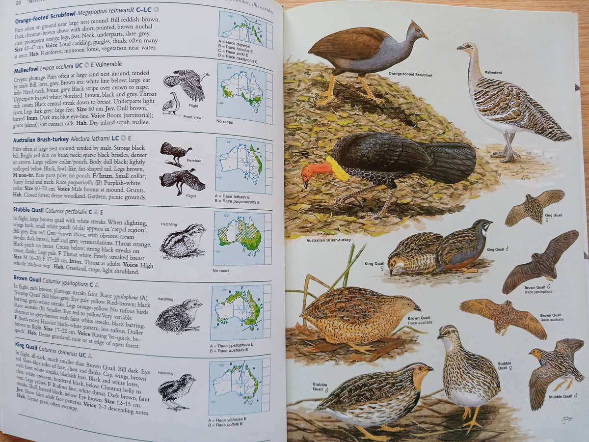 Field Guide to the Birds of Australia